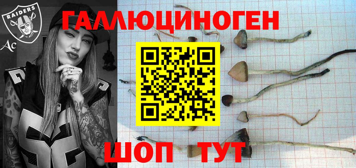 Аксай  Псилоцибиновые грибы мухоморы  Вход с VPN 